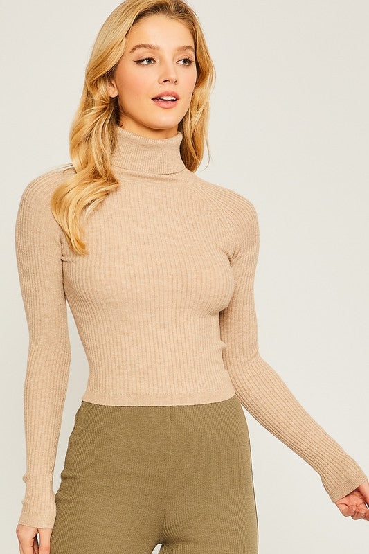 Shaye Turtleneck Ribbed Knit Sweater Top